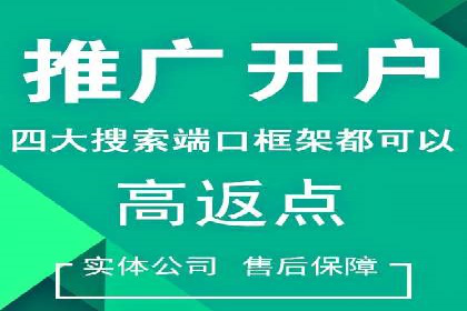 竞价推广中的着陆页策略：成功案例解读